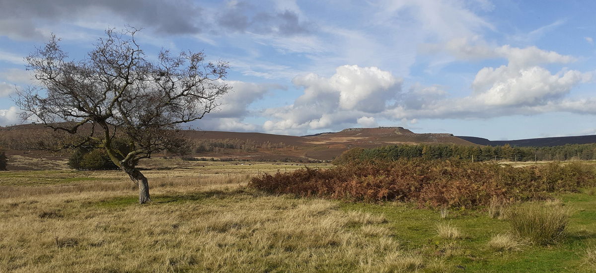 Look to the hills Part 2 winner by Stephen Gosling